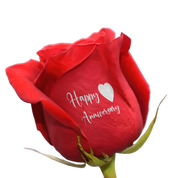 Box "Happy Anniversary"