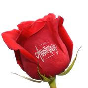 Box "Happy Anniversary"