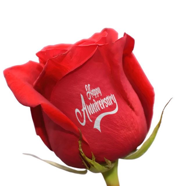 Caja "Feliz aniversario"