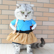 Disfraz de pirata para gatos