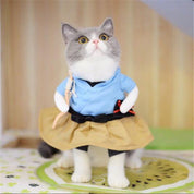 Disfraz de pirata para gatos